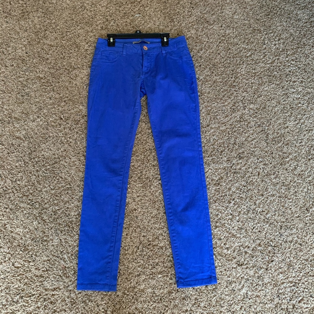 Refuge Blue Pant